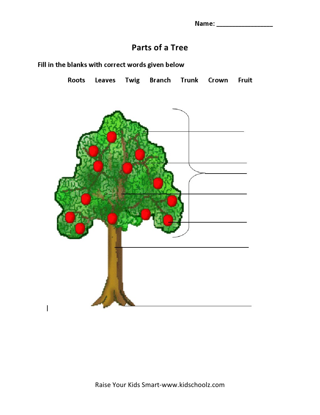Grade 2 â Parts Of A Tree Worksheet 2